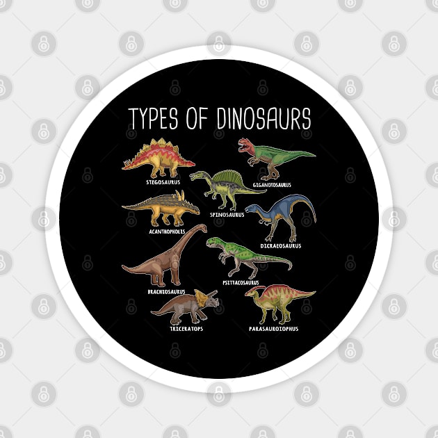 Kids Types Of Dinosaurs Dino Identification Gift Magnet by TeddyTees